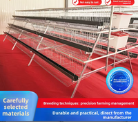 Cages d'élevage personnalisées pour poulets, à trois/quatre niveaux, à escalon vertical, multi-portes, pour poules pondeuses et poulets de chair, pour l'élevage avicole