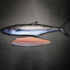 ปลาแมคเคอเรลแช่แข็งพรีเมี่ยมแบบที่จับได้แช่แข็งอย่างรวดเร็วและบรรจุอย่างถูกสุขลักษณะเพื่อการกระจาย - Product Image 6