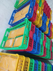 Purée de mangue congelée à base de plantes PURE Clean Label Emballage sous vide de processus IQF-Eau en vrac préservée - Product Image 2