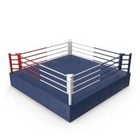 OEM Bestseller individuelle Größe Leinwand MMA thailändischer Trainingsteppich Wettkampf Boxschuhe Bodenmatten