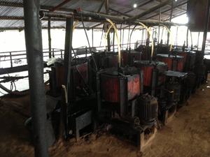 Huile de noix de cajou liquide CNSL améliorée, biocarburants équilibrés, bioénergie efficace, huile de noix, huile végétale pour la cuisine - Product Image 6