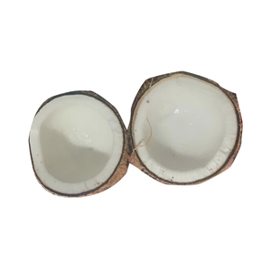 Dừa bán trấu-Nguồn gốc Ấn Độ-Dừa chất lượng tốt nhất - Product Image 6