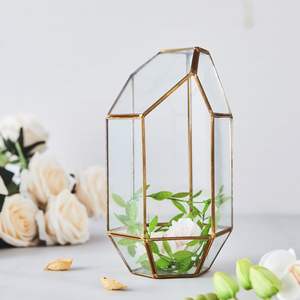 Nouveau Style Tendance Unique Verre Clair Top Rated Géométrique Terrarium Pour Prix Exclusif Pour La Décoration De La Maison & Décoration De Jardin - Product Image 2