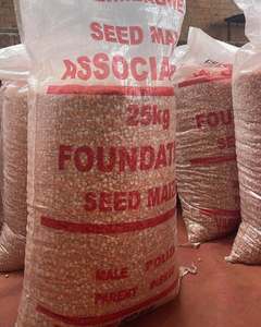 Maíz Blanco Libre de Aflatoxinas para Papillas y Refrigerios, Certificado Fitosanitario, 24 MT FCL - Product Image 6