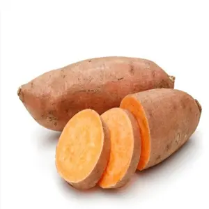 Frische süßkartoffeln Ägyptischer Großhandel Süßkartoffeln-Lieferanten 100% Natur günstiger Preis Schlussverkauf