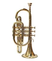 Professional Premium Brass TB-0046 Trumpet in Silver Color Customizable Personalized Sound with BB Tone Mouthpiece
