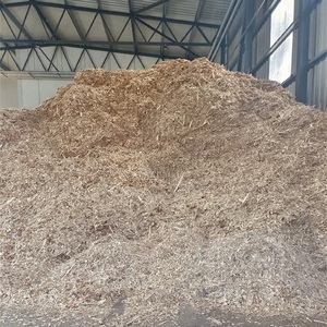 Copeaux de bois de haute qualité à vendre Déchets de bois agricoles Prix ​​bas Sciure de bois/déchets agricoles à vendre - Product Image 5