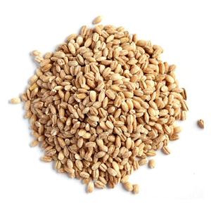 Alimento animal de cebada de grano crudo natural - Product Image 1