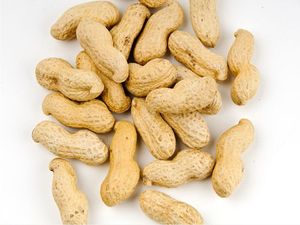 Raw Non-Roasted <b>Peanuts</b> Unshelled Granules <b>Peanut</b> <b>Butter</b> & Red Skin <b>Peanuts</b> for Human Consumption - Product Image 2