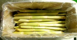 Productos de caña de azúcar orgánica de primera calidad Proceso BQF Patrón completo Fruta congelada Pelada Envasada al vacío - Product Image 6