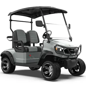 Brand New Designed Factory Price Golf Carts Buggies Electric Golf Cart
