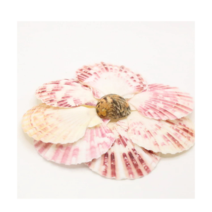 Cáscaras de vieiras secadas al sol naturales para platos de servicio de restaurante de mariscos de hotel o proyectos artesanales - Product Image 5