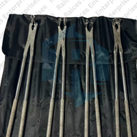 Kit de pinces dentaires équines professionnelles 4 pièces outils d'extraction de dents de cheval Instruments vétérinaires en acier inoxydable