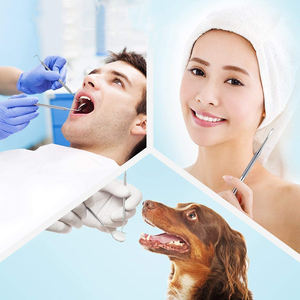 High Quality Stainless Steel Probes Scalers <b>Dental</b> Instrument | Orthodontic Probes Scalers Surgical Kit Pouch Custom Logo - Product Image 5