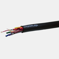 Câble audio multipaire SREXACT 12 canaux avec connecteurs XLR, gaine en PVC, blindage en feuille, conducteur en cuivre nu, modèle 3070800820-100M