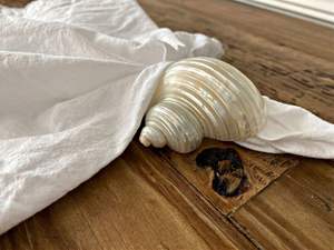 Rond de serviette coquillage fait à la main à partir de coquillage pour la table de mariage ferme rustique approvisionnement Vietnam - Product Image 4