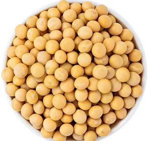 Graines de soja de qualité supérieure à vendre, graines fraîches de haute qualité disponibles en vrac pour la vente en gros, la vente au détail et l'exportation - Product Image 5