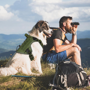 Professional Training <b>Dog</b> Harness High Quality Comfortable Breathable Simple Style Green for Hiking & Walking <b>Dogs</b> - Product Image 4