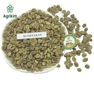 [신뢰할 수있는 공급 업체] 고품질 유기농 ROBUSTA 녹색 커피 콩 전체 수출 인증서 및 최고의 가격 + 84363565928