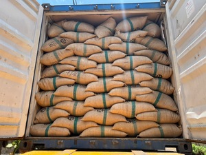 GRADE AA VILACONIC POIVRE NOIR DE QUALITÉ SUPÉRIEURE 500GL 550GL 600GL FAQ ORIGINE ASTA VIETNAM - Pey - Product Image 5