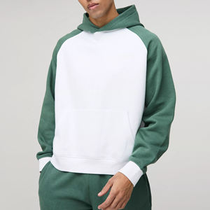 Sweat à capuche court personnalisé pour hommes coupe normale pull hiver logo personnalisé 100% sweats à capuche en molleton de coton - Product Image 1