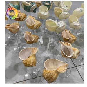 Fantaisie Shell Cup Creative Handmade Cocktail Glass Alternative pour Hôtels Bars Restaurants En Gros - Product Image 5
