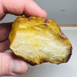 Piedra de Ámbar Báltico Crudo, Trozo de Ámbar Natural Irregular Sin Pulir - Product Image 3