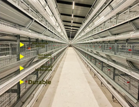 Système de cages en couches de type H YIMUDA avec collecte automatique d'œufs à haute efficacité, en acier galvanisé et courroie en PVC pour élevage de poulets