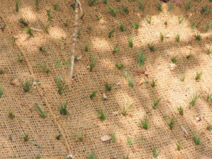 Tapis en fibres de coco tissés traditionnels, écologiques, adaptés aux animaux, tapis agricoles antidérapants avec motif végétal et animal pour - Product Image 4
