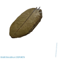 Extrait de plante de feuilles de goyave séchées naturelles pour la santé et le bien-être