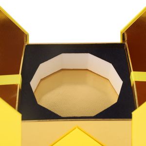 Sac cadeau élégant de luxe en papier kraft personnalisé pour le vin avec 2 compartiments impression offset emballage de présentation pour les magasins de cosmétiques - Product Image 4