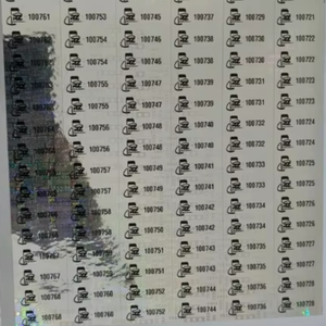 Customizable Silver Oval Cut Security Hologram Anti-Counterfeit Features Tamper Evident Digitech Label Solution Model DLS-HS-001 - Product Image 1