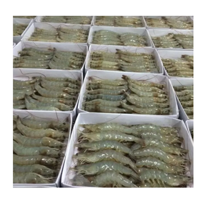 Camarones Tigre HOSO Congelados - Suministro al por Mayor de Camarones Tigre HOSO - Product Image 3