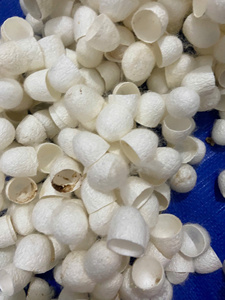 <b>Silk</b> Cotton for Wedding Dress Designers Affordable <b>Silk</b> Cotton Bulk Orders - Product Image 3