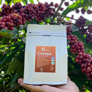 เครื่องชงกาแฟ arabica Robusta คั่วอ่อน/กลาง/เข้มเกรดพรีเมี่ยม, เครื่องชงกาแฟแบบใช้ครั้งเดียวจากเวียดนาม - Product Image 4