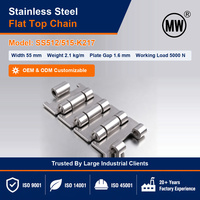 RVS 1 inch pitch vlakke ketting SS304 SS512-515-K217 voor koeltunnel en fleswasserijlijn