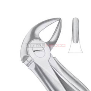 Fig. 33B Raíces inferiores Fórceps de extracción de dientes de diferentes tamaños Instrumentos médicos dentales Precio al por mayor Proveedor a granel - Product Image 6