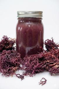 Mousse de mer violette sauvage de qualité supérieure - Product Image 4