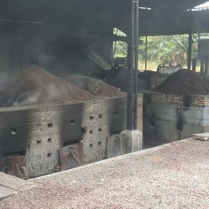 Carbón de cáscara de palmera Premium - Product Image 3