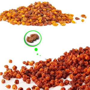 ทะเล buckthorn แห้ง | ทางเลือกสูงสุดสำหรับ formulators โภชนาการ - Product Image 2