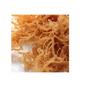 Mousse de mer séchée naturelle à 100% pour la santé et le bien-être de la peau au Vietnam - Product Image 1