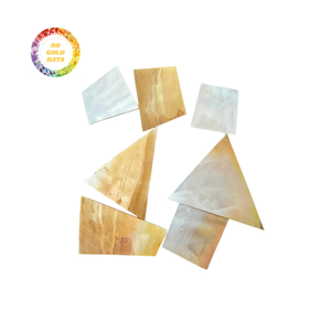 Material de concha de nácar reciclado ecológico para moda y accesorios sostenibles - Product Image 1