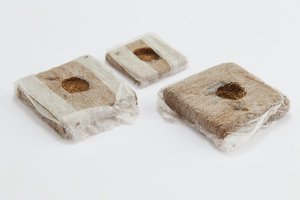 Cubes de culture de coco écologiques et durables fabriqués à partir de coco biologique et biodégradable fabriqué au Sri Lanka - Product Image 2