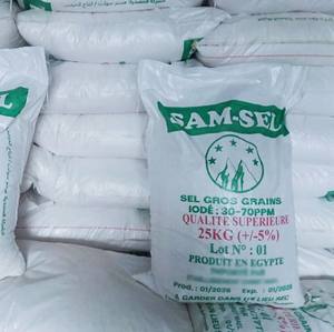 เกลือบริโภค SAM SEL ชนิดหยาบเสริมไอโอดีน เกรดอาหาร บรรจุถุง 25 กก. - Product Image 6