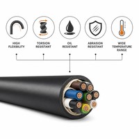 Kabel Robot DERUL Outdoor Industrial Marine Tembaga PVC Tahan Torsi dengan Pelindung Foil+Braid (TRVVP) Berperingkat IP68 10010%