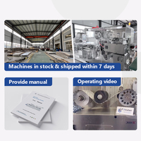 Finalwe Offres Spéciales optimiser la production Machine de conditionnement sous blister automatique à grande vitesse série DPP pour capsules et comprimés