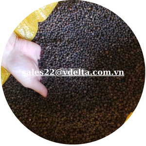เครื่องเทศพริกไทยดำ550GL FQ พริกไทยดำเพิ่มรสชาติให้กับจาน/เควิน - Product Image 3