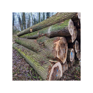 Grumes de peuplier de haute qualité à vendre en vrac à des prix compétitifs - Product Image 2