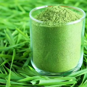 Natural Wheat <b>Grass</b> Powder Freeze <b>Dried</b> & Cold Pressed Wheat <b>Grass</b> Supplements Direct From Indian Manufacturer - Product Image 5