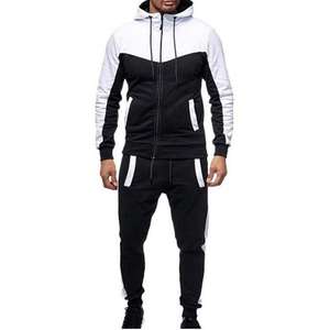 Vente en Gros Hiver Logo Personnalisé Jogging Costumes Uni Couleur Unie Sweat à Capuche Hommes Sweatersuit Survêtement - Product Image 4
